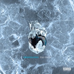 TOO COLD FT. ZXKVL (PROD. DOOMFIST X CASHIO X BLUEYSPORT)