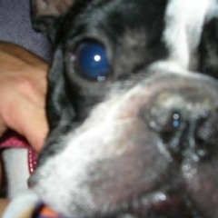 KDELL - My boy (ill miss you so much) VIDEO IN DESCRIPTION