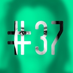 TIB CAST #37 // One Step Followed By Another // SUZé