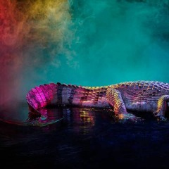 LAST NIGHT A DJ SAVED MY LIFE