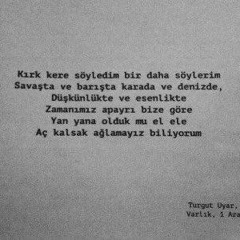 sibel alaş, adam (cover)