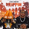 Drippin Mp3