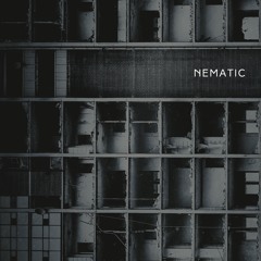 3. nematic_Pecular - SECULA 001