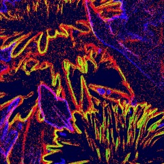 Thug Dubstep Native American flute remix