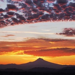 Daylight - Chillwave (40 Tracks)
