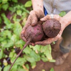 Generations of UC Santa Cruz Farm and Garden Apprentices