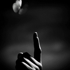 Soligen & Type 2 & Wednesday Amelia - Butterfly (Impish & Meta Remix)