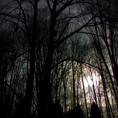 Pavoch - Dark May (DUB)