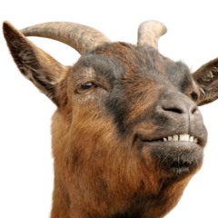 Oz Woodward- Creatures