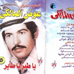 مريم - عوض المالكي