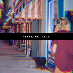 Trigga-Never Go Back