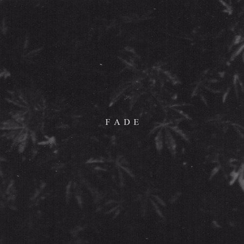 Emir Hermono - FADE (a l r y z remix)