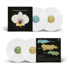 FREE DOWNLOAD - Sidewalk Chalk - "Take The Time" (from An Orchid Is Born)