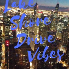 Lake Shore Drive Vibes I