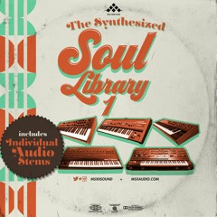 The Synthesized Soul Library 1 Demo