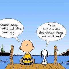 Live & Learn
