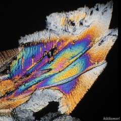 Are Friends Electric