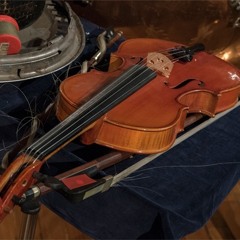 Free Lichen concert by ELISION ensemble in North Melbourne on Tuesday