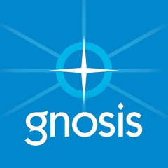Q-Chip - Access Consciousness - GNOSIS 02