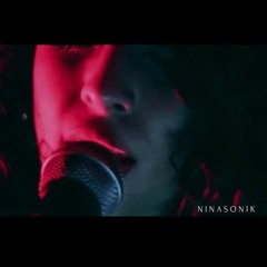 PREMIERE: Ninasonik - Static (Nark Remix) [L O V E S T O R Y Recordings]