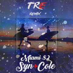 Syn Cole - Miami 82 ( TRE Remix )