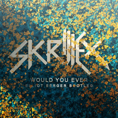 Skrillex ft Poo Bear - Would You Ever (Elliot Berger Bootleg)