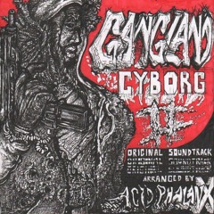 Acid Phalanx - Gangland Cyborg II