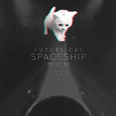 Future Cat - Spaceship (VIP)
