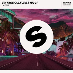 Vintage Culture & Ricci - Later [OUT NOW]