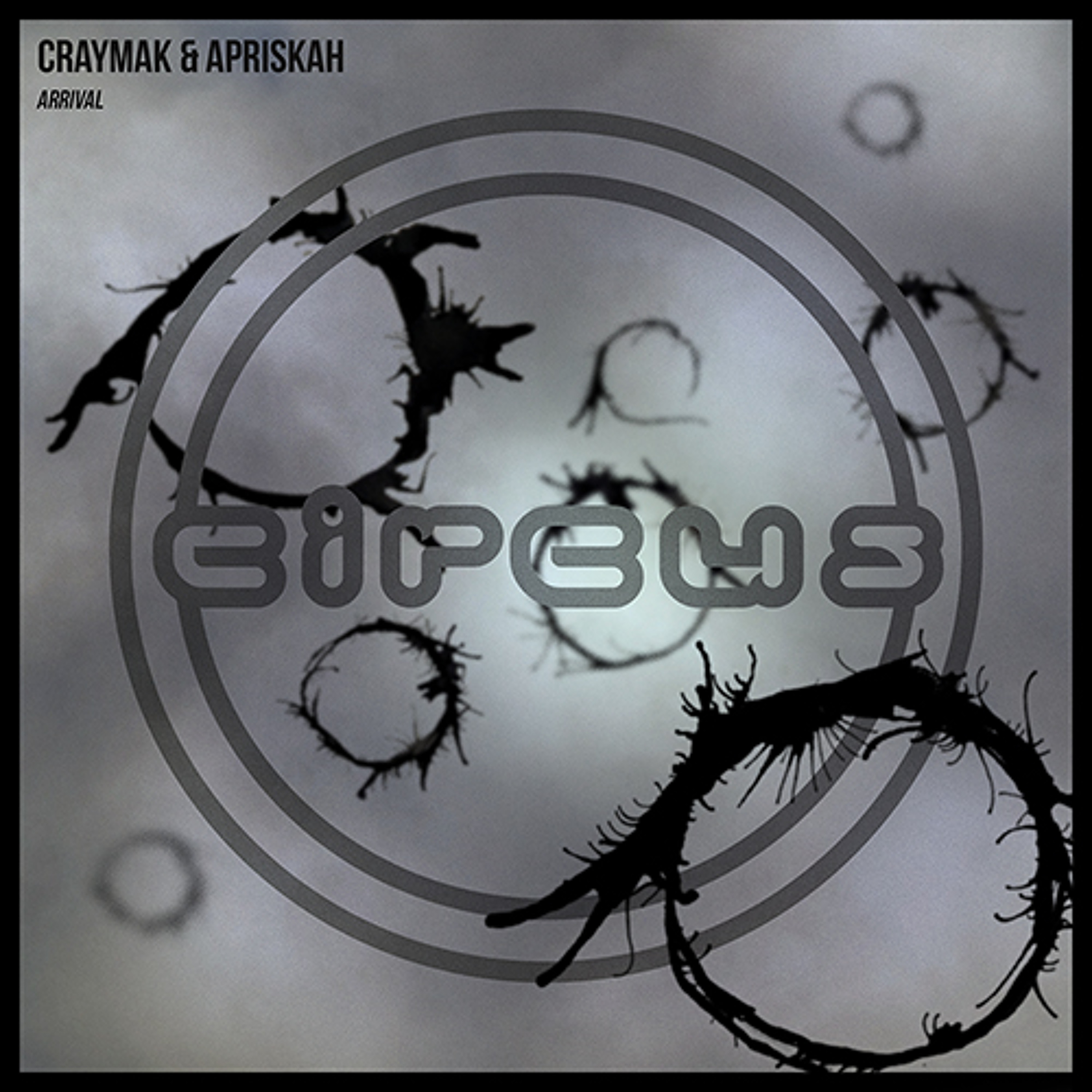 CRaymak