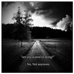 Steered Me Wrong - Doctor Loop