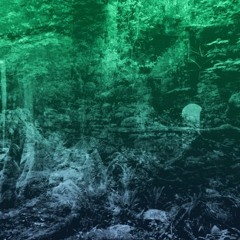WobbleRevLoop