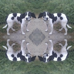 Wu Wei - I'll Miss U (ZTP REALLY MISS U REMIX)