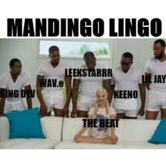 Wav.E x Lil Jay x King Devinnnn - Mandingo Lingo Prod. (GodLikeParaiah)