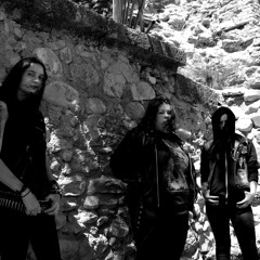 Ta Vie C'est Mes Chiottes