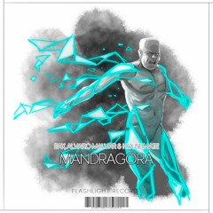 EAX, Alvaro Malvar, House Mate - Mandragora (Original Mix)
