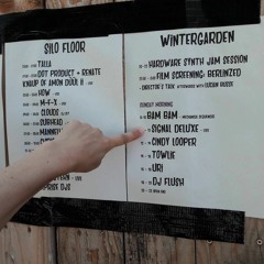 Signal Deluxe Live at Krake Festival 2017