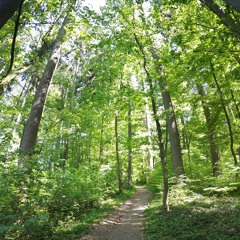 Eren Cengiz - Mihrican Mi Degdi