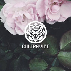 CULTRAVIBE #031 || "JLZ Guest Mix"