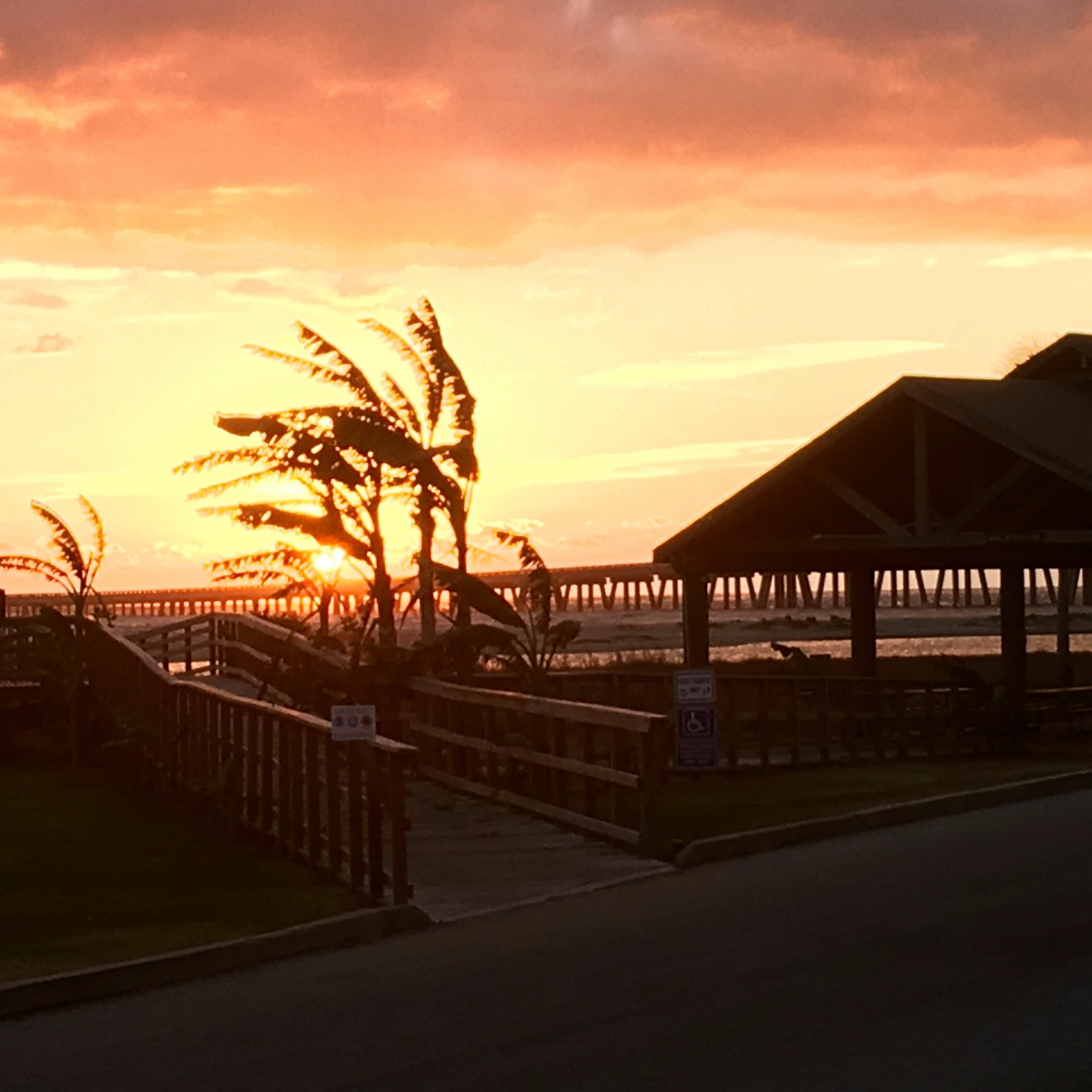 Coastal Advocacy Adventures Podcast