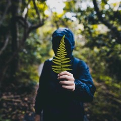 Night Lovell - never wanted 2 be