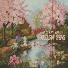 Foreign Seas