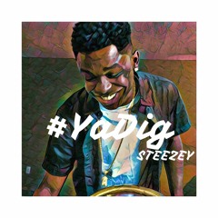 #YaDig Prod. DigitLIX