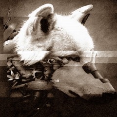 Lupus (Preview)