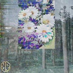 Compromised (Prod. Lucid Pathways)