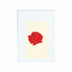 13 - Lany