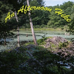 An Afternoon Hike