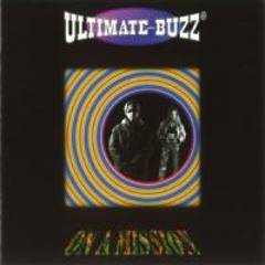 On A Mission (Bee Style)