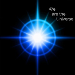 We Are The Universe