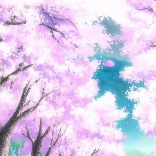 d r e a m i n g